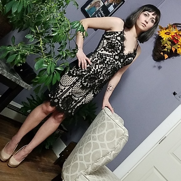 Stunning Black Lace Bodycon Dress PARTY DRESS - Picture 5 of 8